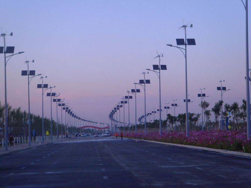 Lampioni fotovoltaici ed eolici cinesi