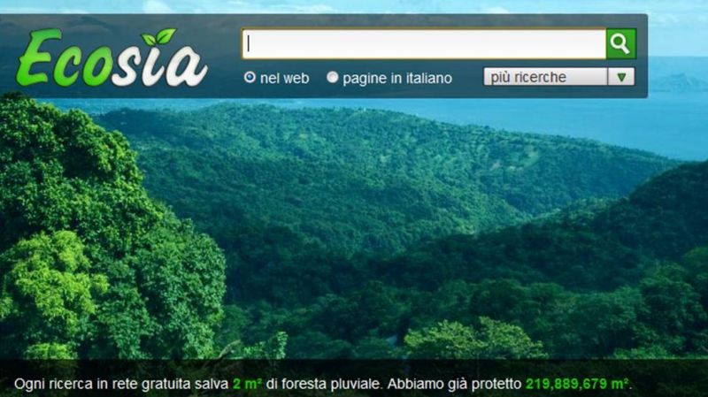 Motore di ricerca ecosostenibile: da query online ad alberi in Brasile