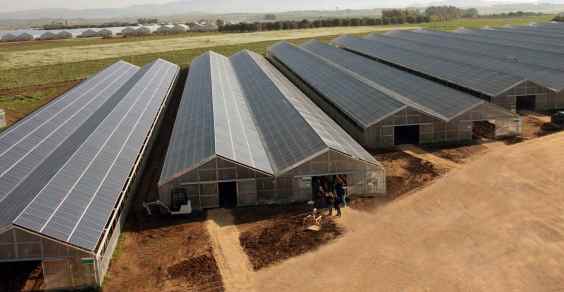 Serra fotovoltaica_SuScioffu_coperture