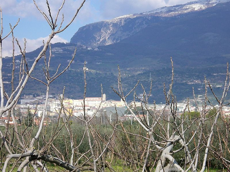 I monti intorno a Eboli vantano il terzo parco fotovoltaico d'Italia: 40 ettari per 23 milioni di kW annui 