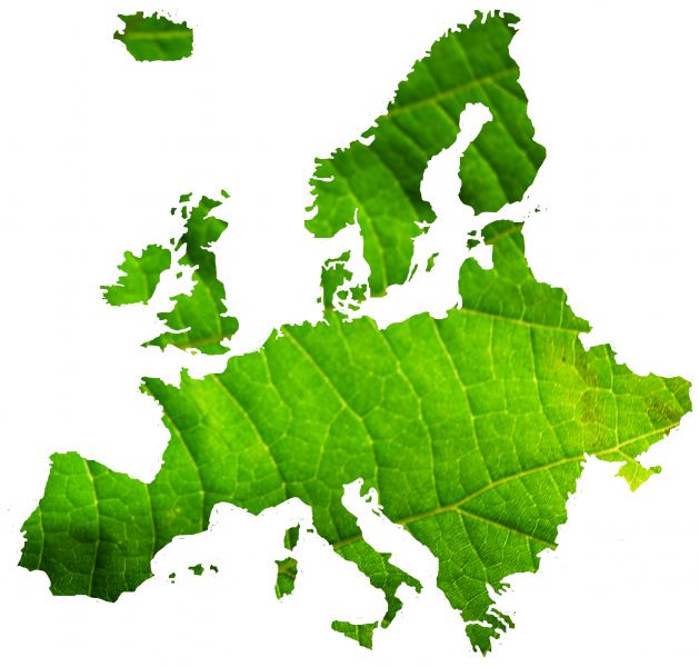 Durante un convegno a fine gennaio, Legacoop ed Enel Green Power hanno sottolineato la necessità di politiche europee coordinare per implementare il settore della produzione di energia da biomassa