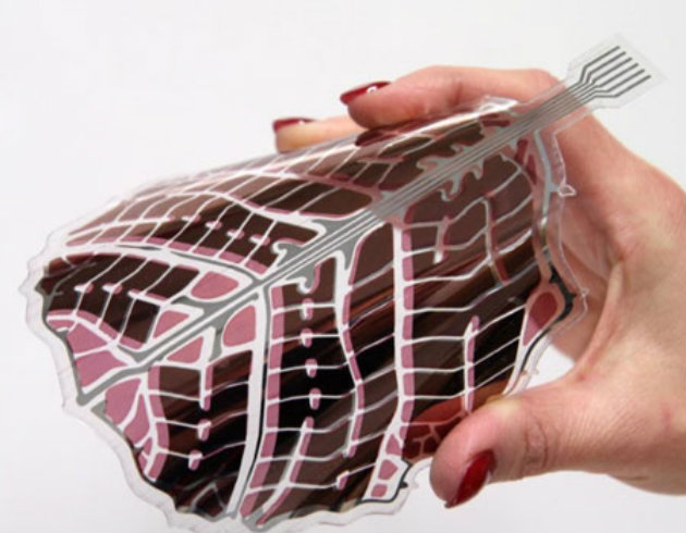 Celle solari organiche flessibili a forma di foglia