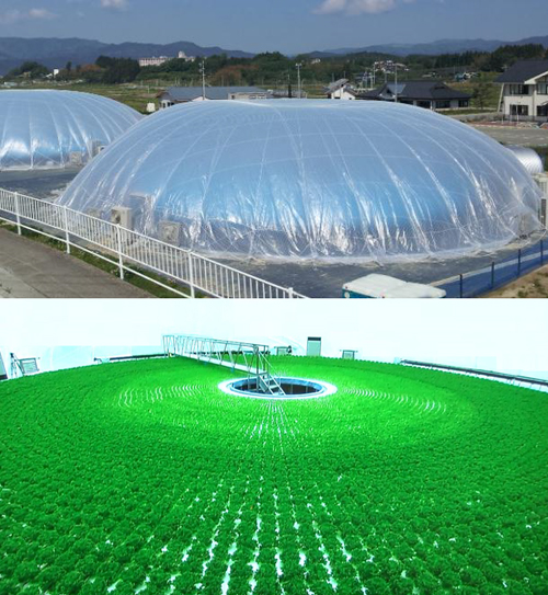 Fukushima Recovery Solar-Agri Park 