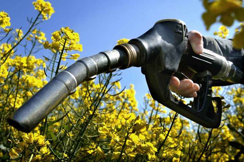 La produzione e il consumo di biodiesel sono in crescita sull'intero mercato mondiale