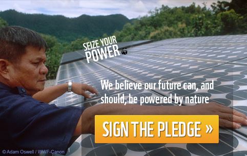 WWF: una campagna per il rinnovabile
