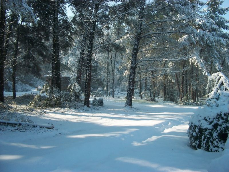 Scorcio suggestivo innevato del Parco della Cellulosa