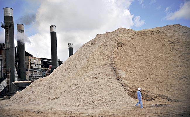 L'Argentina ha a disposizione una grande quantit&agrave; di biomassa derivante dal legno