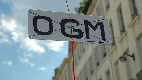 cartello affisso contro gli OGM