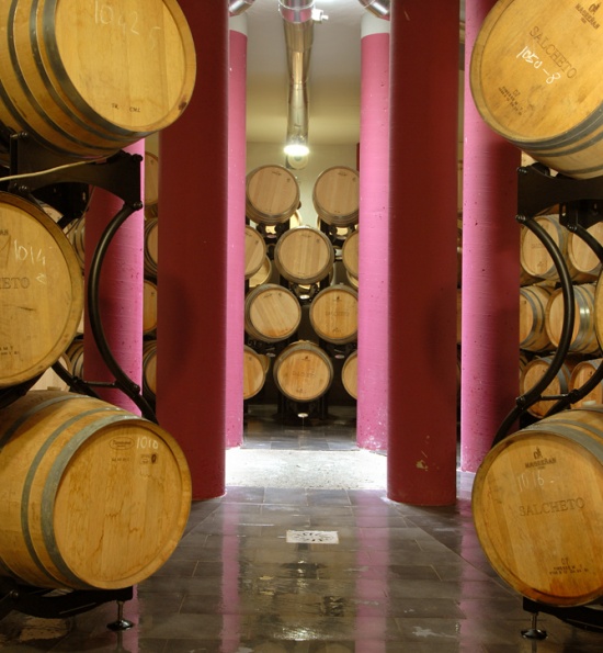 Botti nella nuova cantina dell'azienda agricola Salcheto
