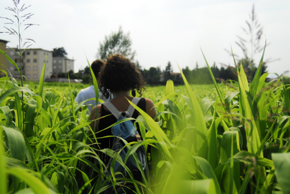 ragazzi in un campo di mais
