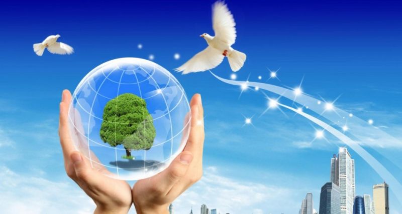Mani a coppa che stringono una sfera contenente un albero