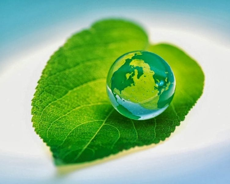 Il mondo su una foglia