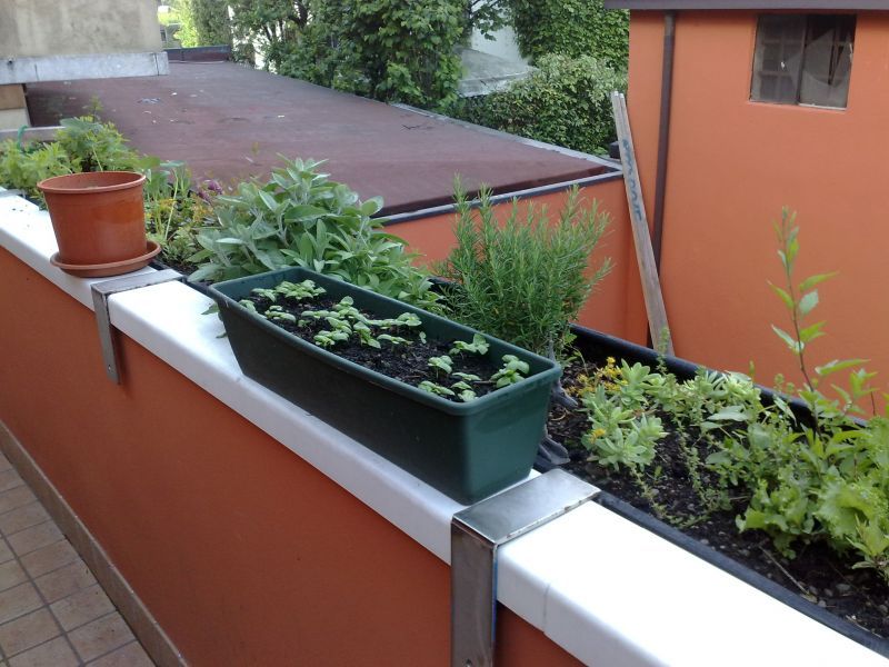 orto verde sul balcone