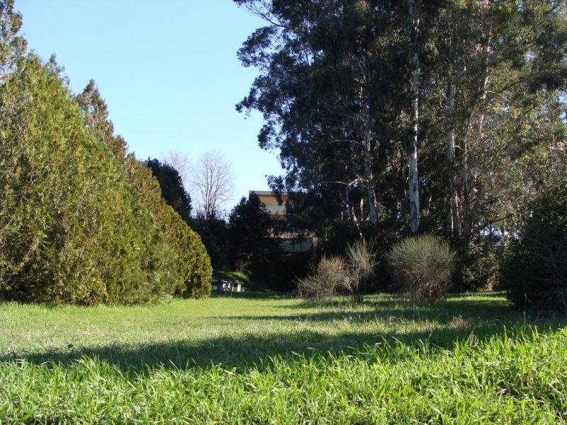 Uno scorcio suggestivo del Parco della cellulosa