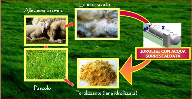 Procedimento schematico della trasformazione della lana di scarto in fertilizzante