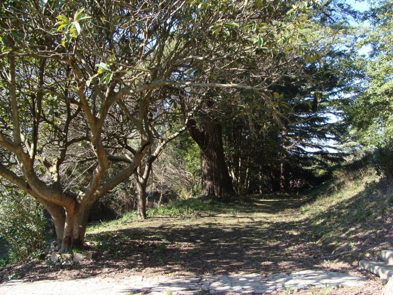 Un sentiero all'interno del Parco della cellulosa