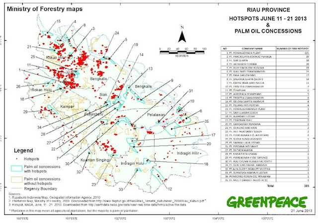 Una mappa di Greenpeace che denuncia le decine di concessioni in Indonesia
