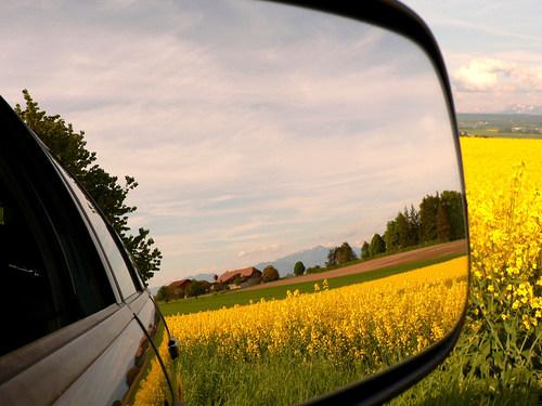 In commercio si pu&ograve; trovare biodiesel prodotto con olio di colza