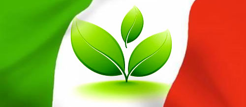 Secondo Legambiente, 7970 comuni italiani si sono dotati di impianti per produrre l'energia in maniera alternativa