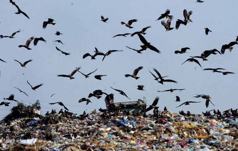 Una discarica a cielo aperto