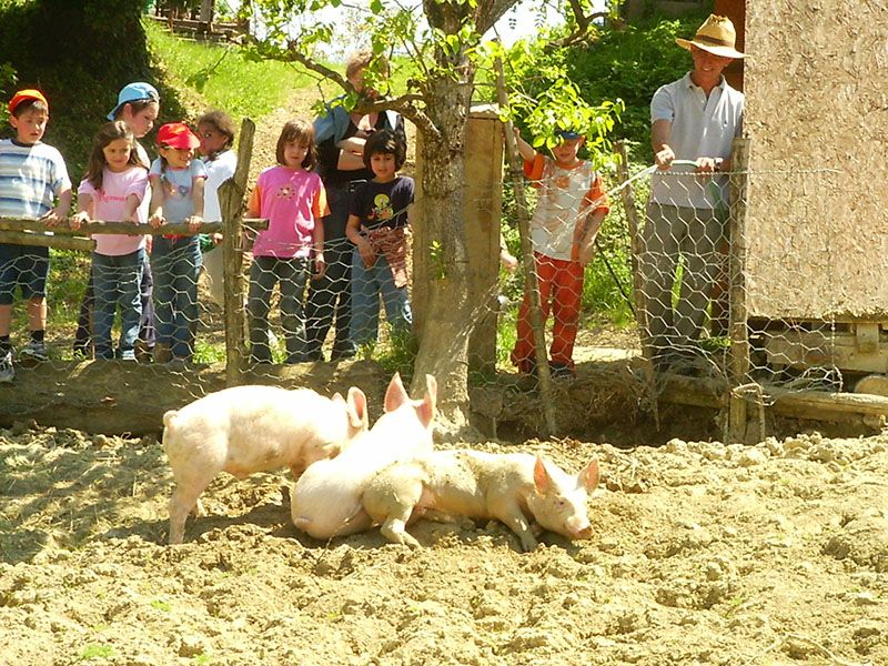 Bambini durante una fattoria didattica targata Alimos