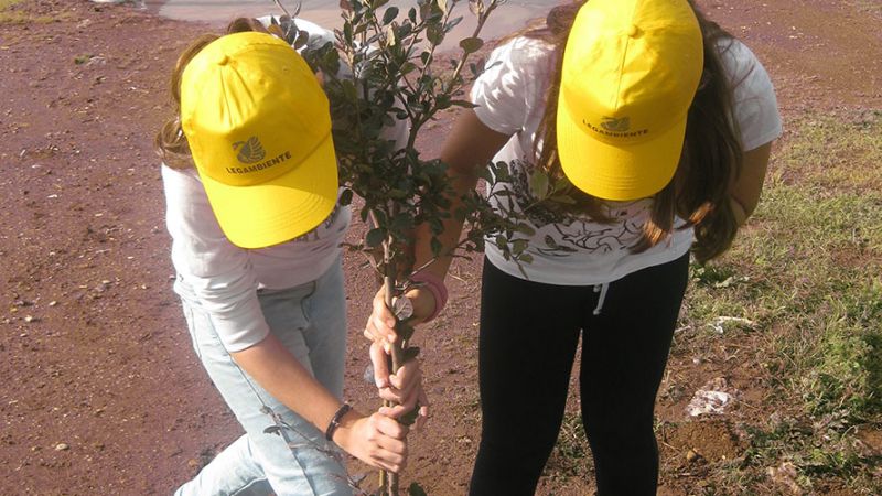 Due studenti piantano un albero alla Festa dell'Albero 2013