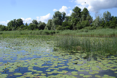 riserva naturale del Conservatoire