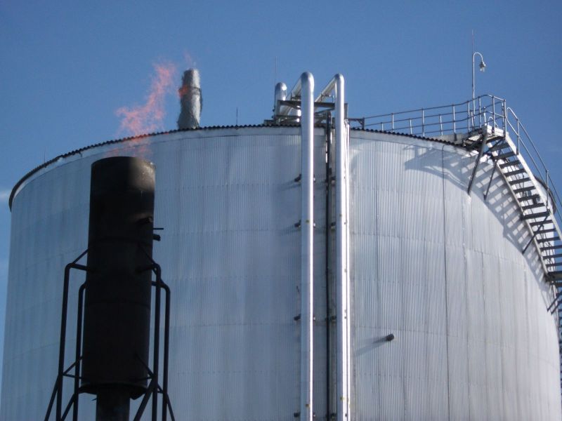 Una centrale bioenergetica