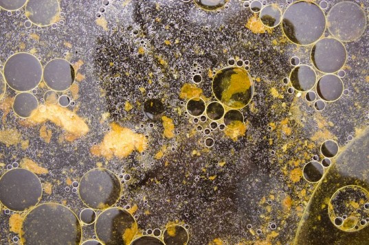 Gli scarti dell'olio da cucina causano la comparsa di un velo sulla superficie dell'acqua, con conseguenti danni all'ecosistema