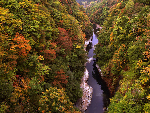 Il prossimo autunno, inizieranno i lavori di costruzione di un impianto geotermico nel Kurikoma Park