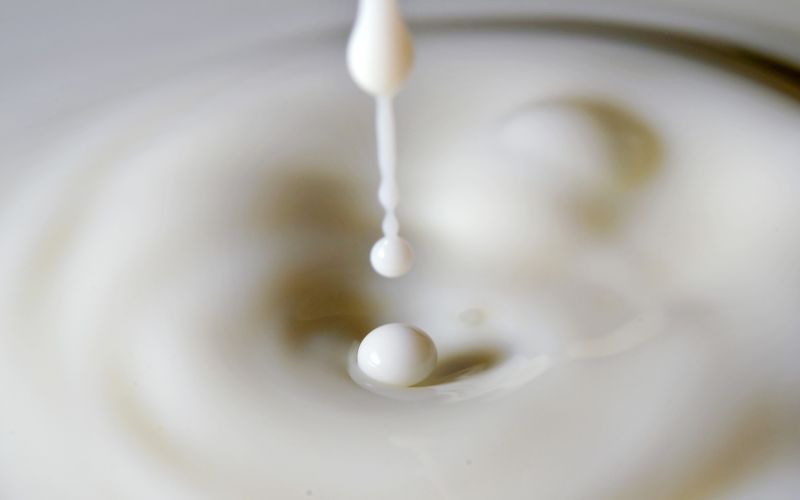 Latte Latte e latticini nutrono la pelle dall'esterno