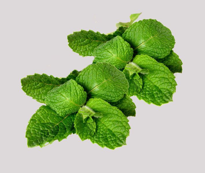 Anche la menta pu&ograve; essere una valida alleata nella lotta alle occhiaie