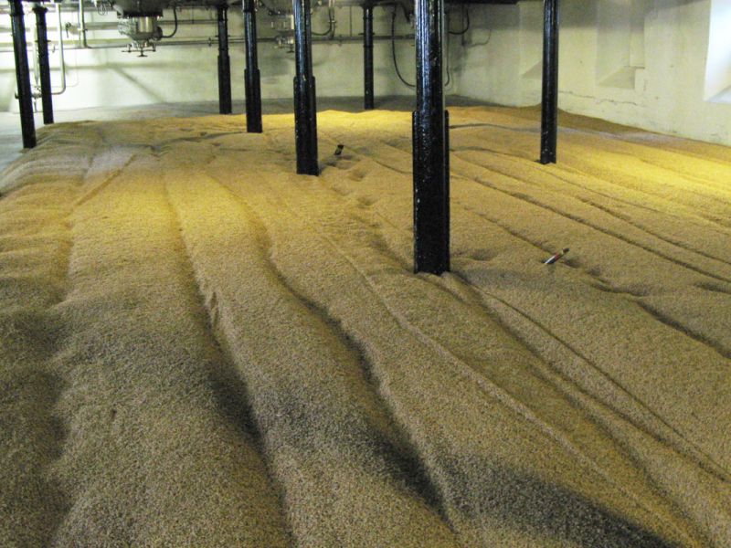 Lavorazione degli scarti della birra per la produzione dei mattoni 