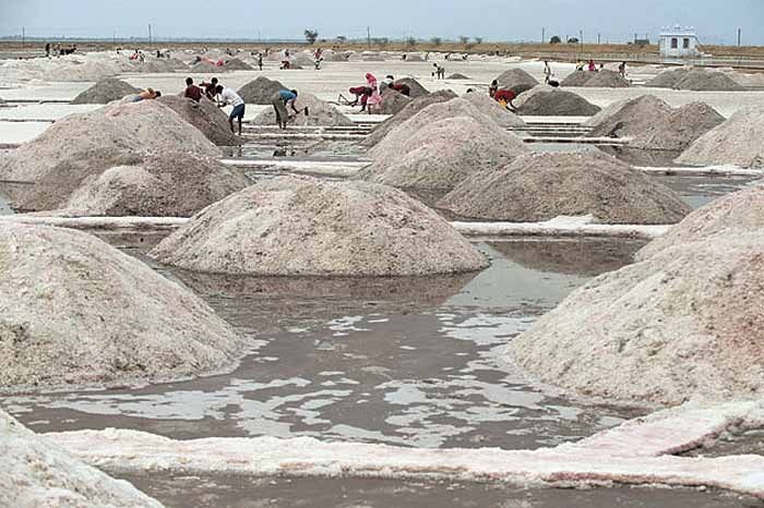 Produzione di sale nella regione del lago Sambhar, India)