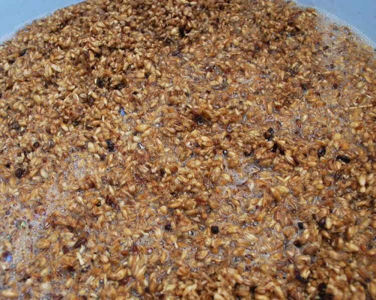 Lavorazione degli scarti della birra