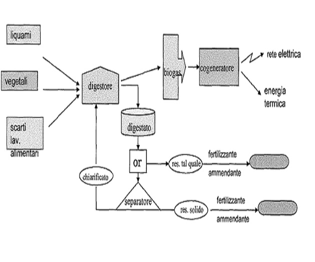 Schema digestione letame