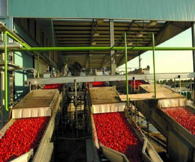 I pomodori della Solana