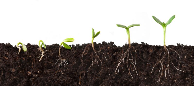 (Meno cemento uguale meno spreco di suolo e migliore qualit&agrave; della vita)