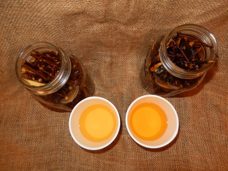 Tisana alla betulla