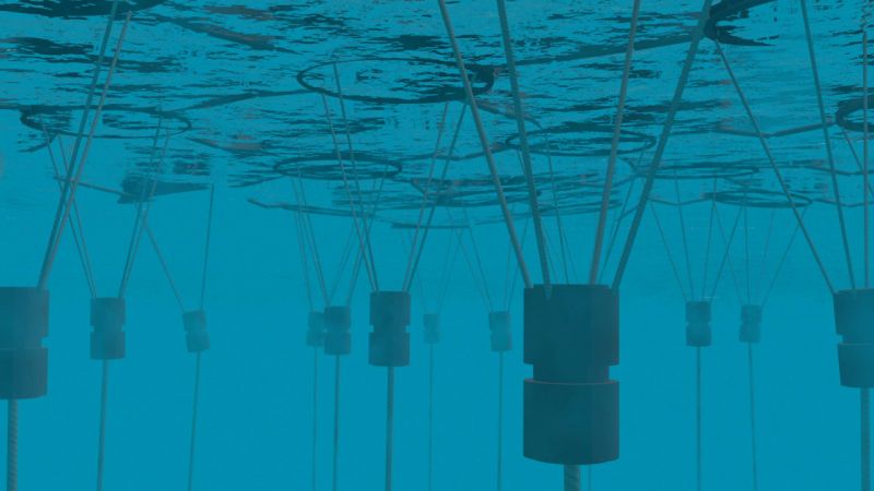 Marine Solar Cells_Phil Pauley