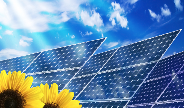 Il fotovoltaico, una fonte nature friendly