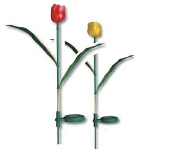 I tulipani solari