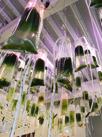 Simrishamn_CraneGreenhous_ecoLogicStudio