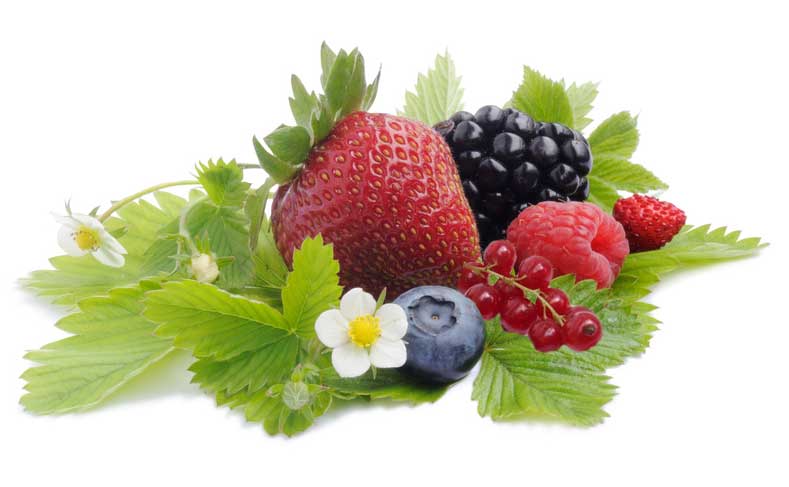 frutti di bosco