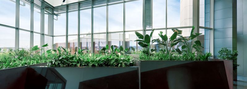 Una piccola Living Machine all'interno di un ufficio per il riutilizzo delle acque di scarico dell'edificio stesso. Queste soluzioni rientrano nella sfera dell' Eco-Design