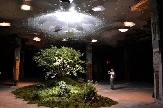 The Low Line, mostra tenutasi nel 2012