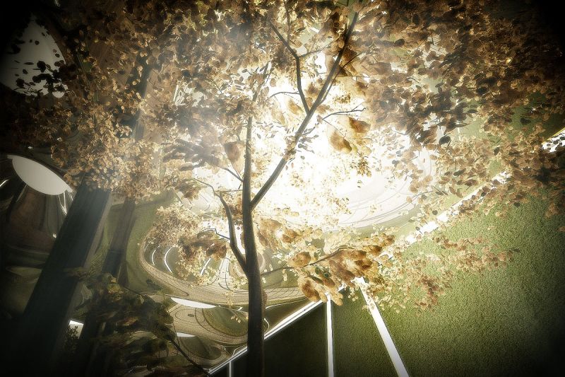 The Low Line- il progetto permette la fotosintesi e quindi la vita delle piante