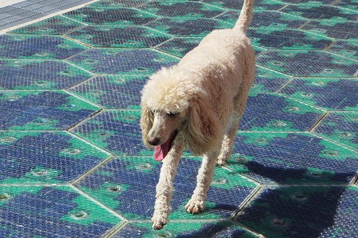 Solar Roadways