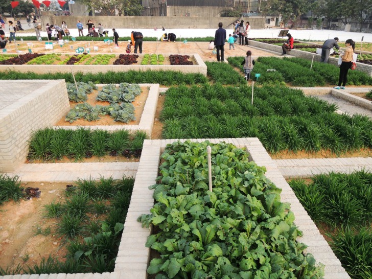 Value Farm, in 2.100mq diversi orti su vari livelli