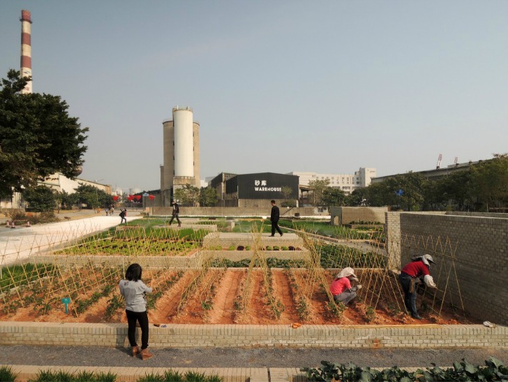 Value Farm, Le trame del tetto, di diverse altezze, consentono diverse profondit&agrave; del suolo e favoriscono variet&agrave; di colture